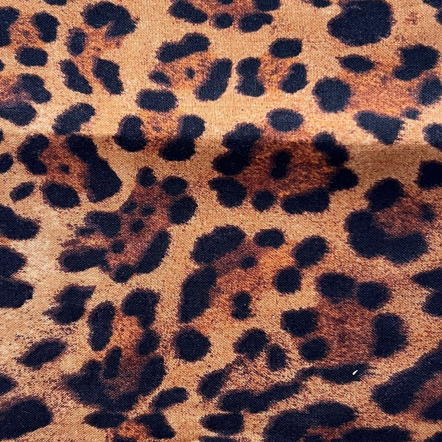 Tortoise Fully Wrapped Spiral Tie